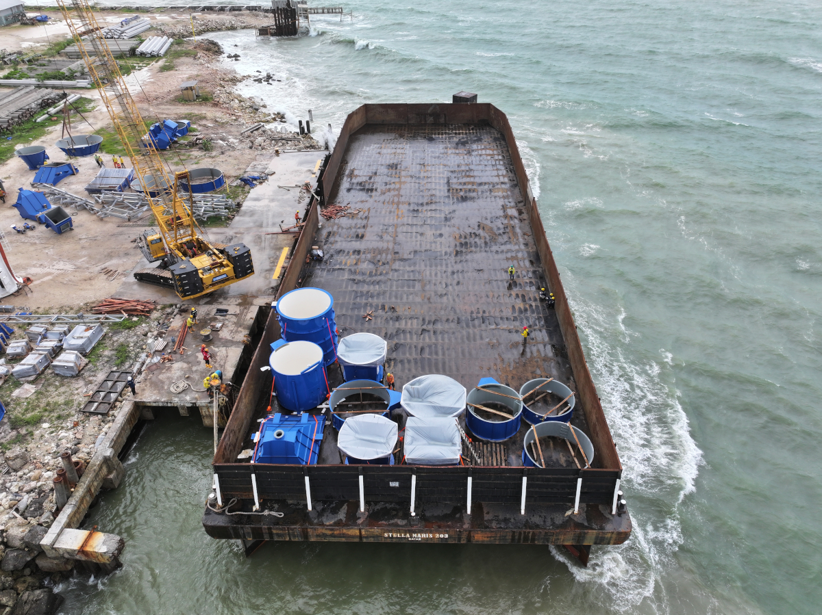 Delivery SMM Project